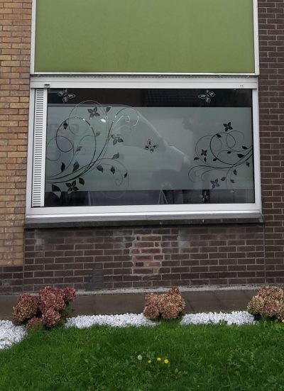 Grande fenêtre d'une façade en briques et bardage vert avec un film à effet sablé à motif de rameaux, de feuilles et de papillons