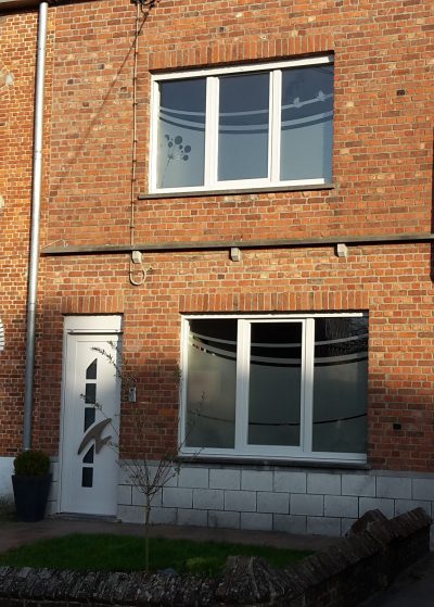 Façade en briques d'une maison de rangée : deux fenêtres et une porte d'entrée avec un film à effet sablé à courbes, oiseaux posés sur un fil et pissenlit