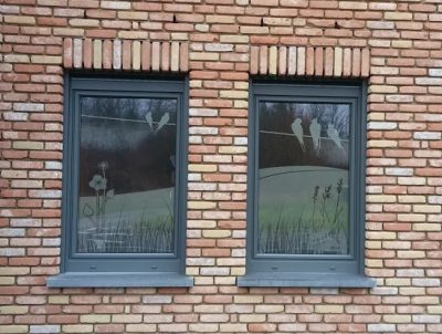 Deux fenêtres d'une façade en briques avec un film à effet sablé à motif d'oiseaux sur un fil, d'herbes hautes et de coquelicots