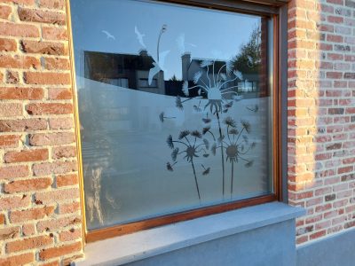 Fenêtre d'une façade en briques rouges avec un film à effet sablé au bord ondulé, ajouré de pissenlits dont les aigrettes s'envolent parmi des oiseaux