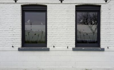 Deux fenêtres à châssis anthracite d'une façade en briques peintes en blanc, dont le vitrage porte un film à effet sablé à motif de hautes herbes, d'oiseaux en vol et de papillons