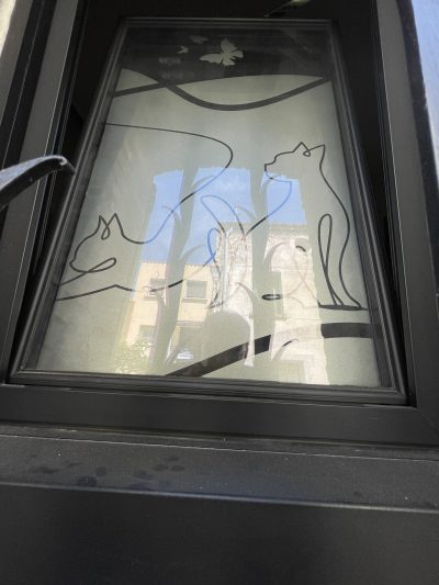 Fenêtre à châssis noir dont le vitrage porte un film à effet sablé ajouré de tiges et de papillons, avec deux chats dessinés au trait noir