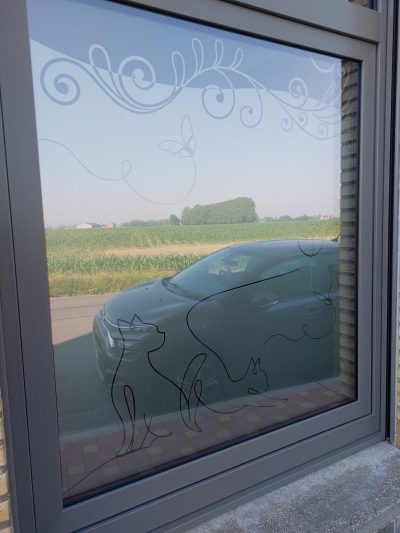Fenêtre à châssis gris anthracite d'une maison en briques avec un film à effet sablé à bandeau et frise de volutes en haut du vitrage, complété de deux chats et de papillons dessinés d'un trait
