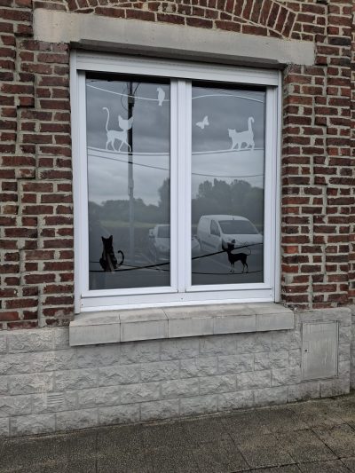 Fenêtre à deux vantaux d'une façade en briques rouges dont le vitrage porte des chats en film à effet sablé marchant sur des fils, avec un oiseau et un papillon, et deux chats noirs assis sur un fil en bas